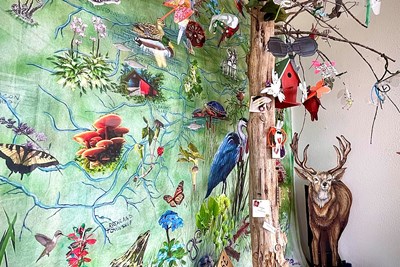 Cooks Creek Watershed Backdrop In Springtown Post Office Window